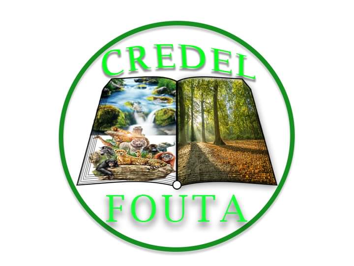 CREDEL FOUTA